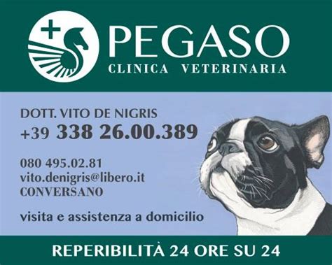 clinica pegaso paola|Recensioni e Informazioni Clinica Veterinaria Pegaso .